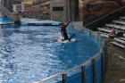 thumbs/seaworld 118.png